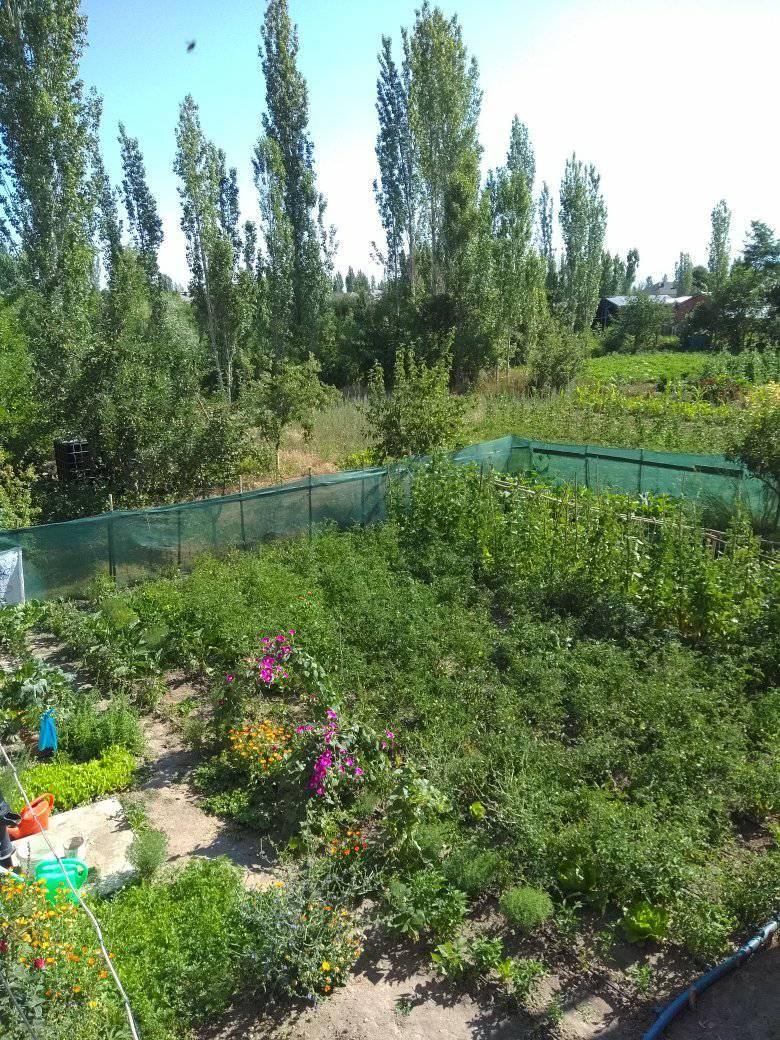 Seydişehir Akçalar Köyü Resimleri 7