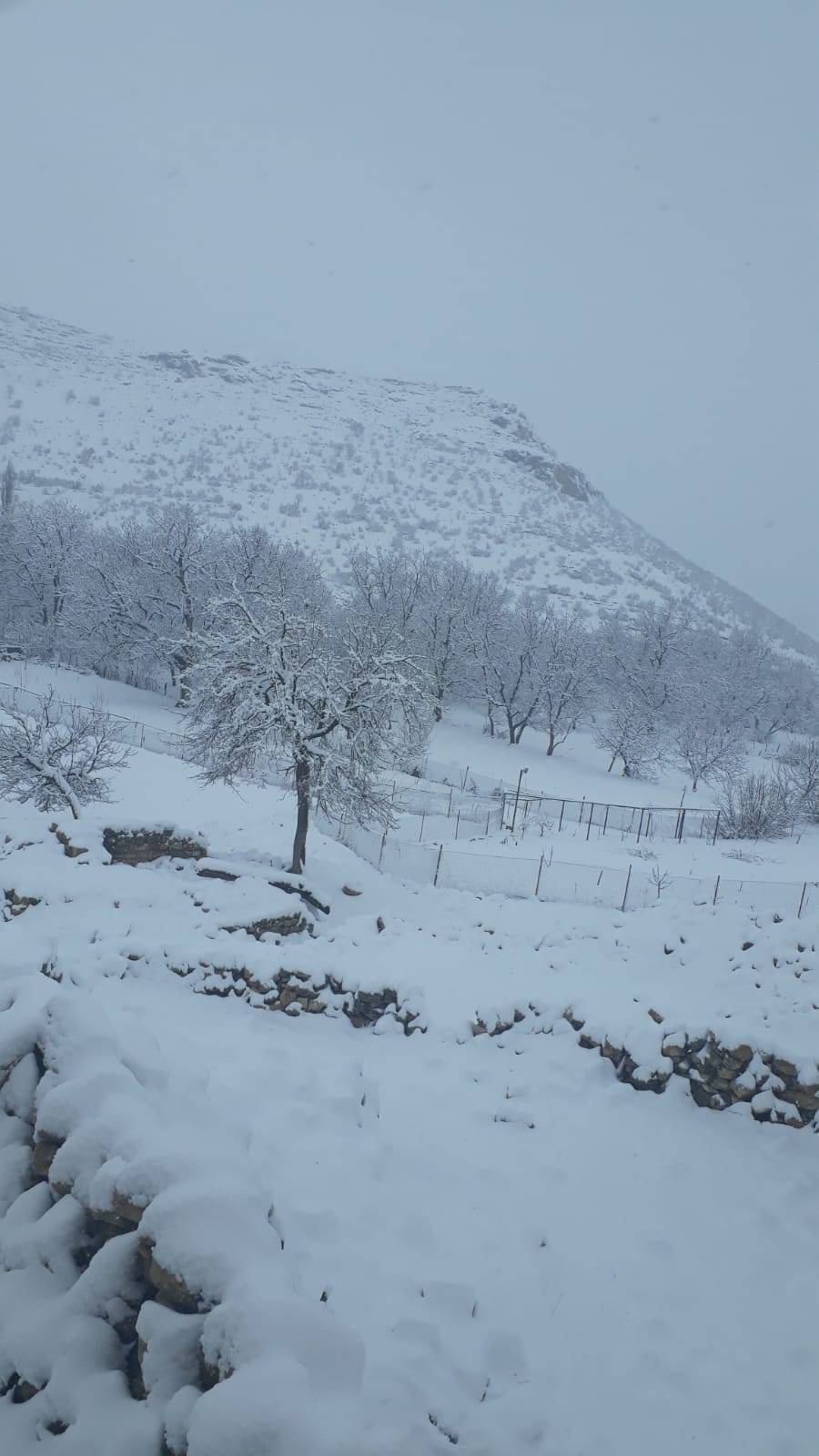 Gercüş Kömürcü Köyü Resimleri 4