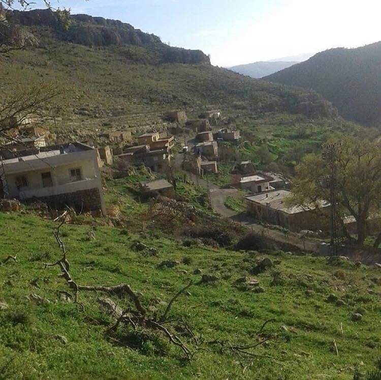 Gercüş Kutlu Köyü Resimleri 1