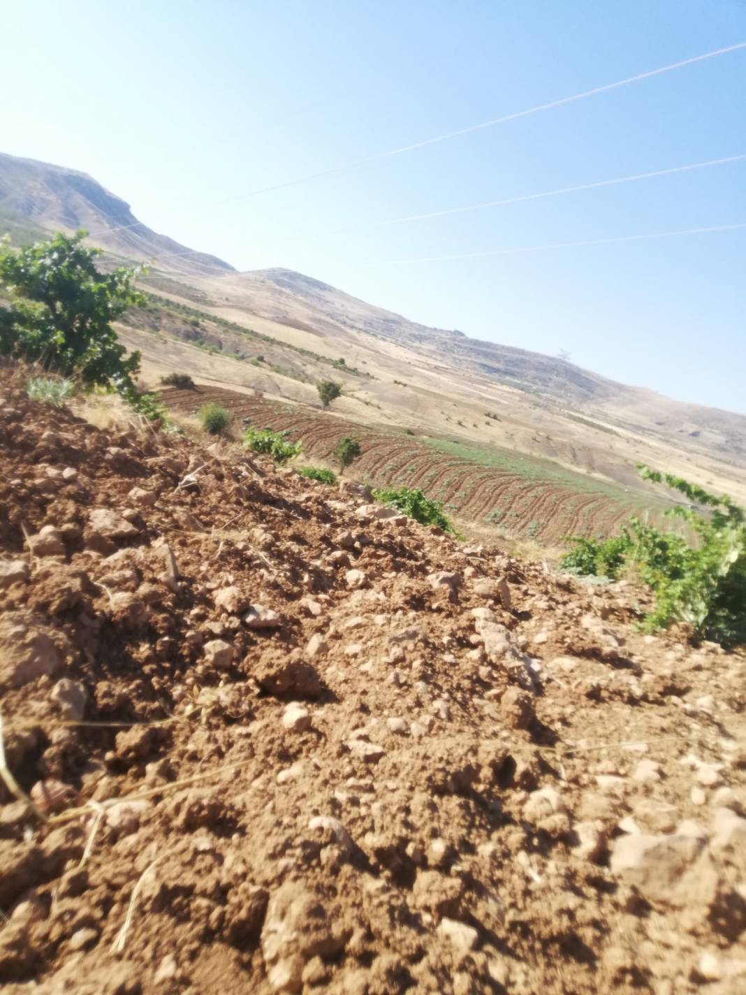 Gercüş Kutlu Köyü Resimleri 10