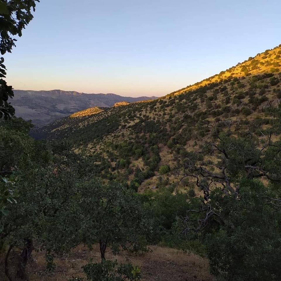 Gercüş Kutlu Köyü Resimleri 12