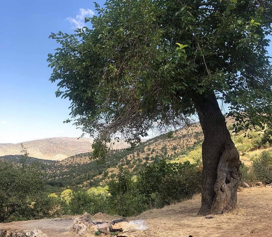 Gercüş Kutlu Köyü Resimleri 14