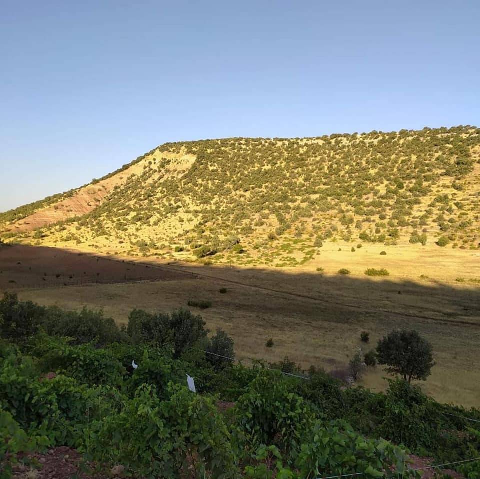 Gercüş Kutlu Köyü Resimleri 16