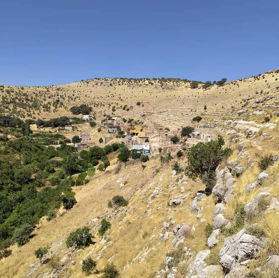 Gercüş Kutlu Köyü Resimleri 18