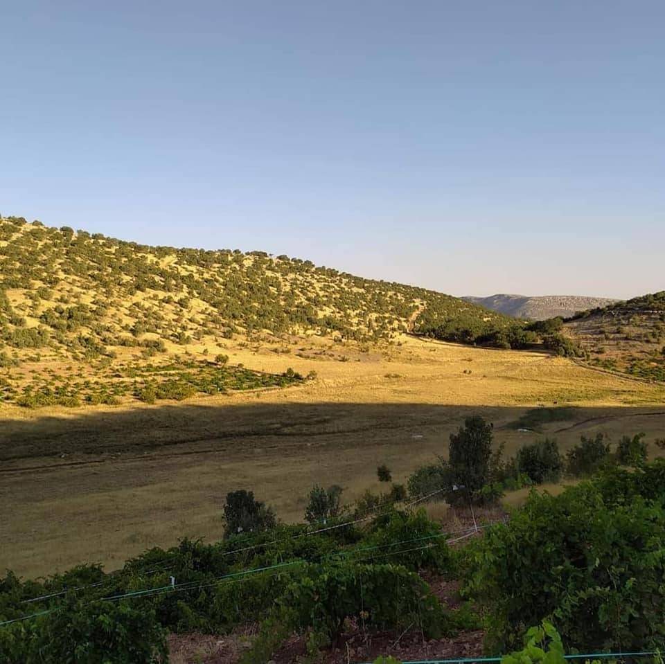 Gercüş Kutlu Köyü Resimleri 19