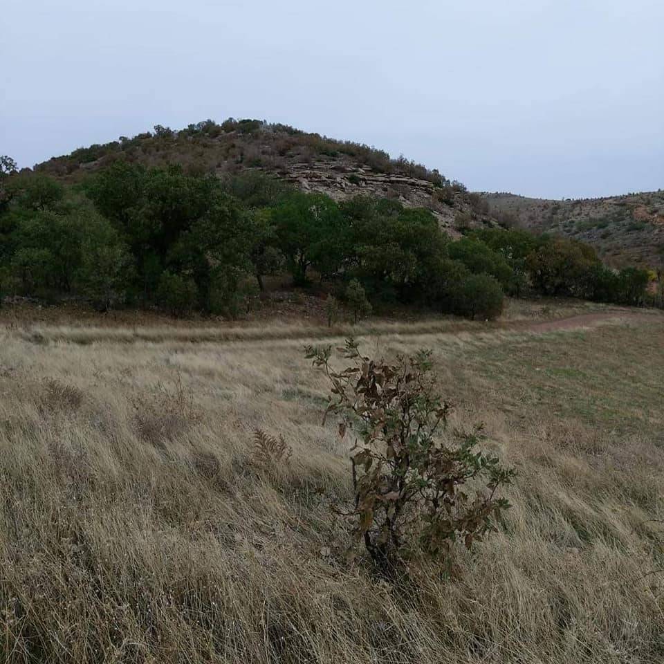 Gercüş Kutlu Köyü Resimleri 4