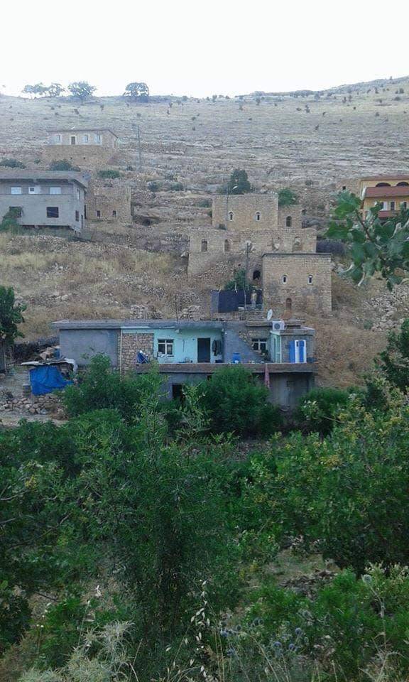 Gercüş Kutlu Köyü Resimleri 5