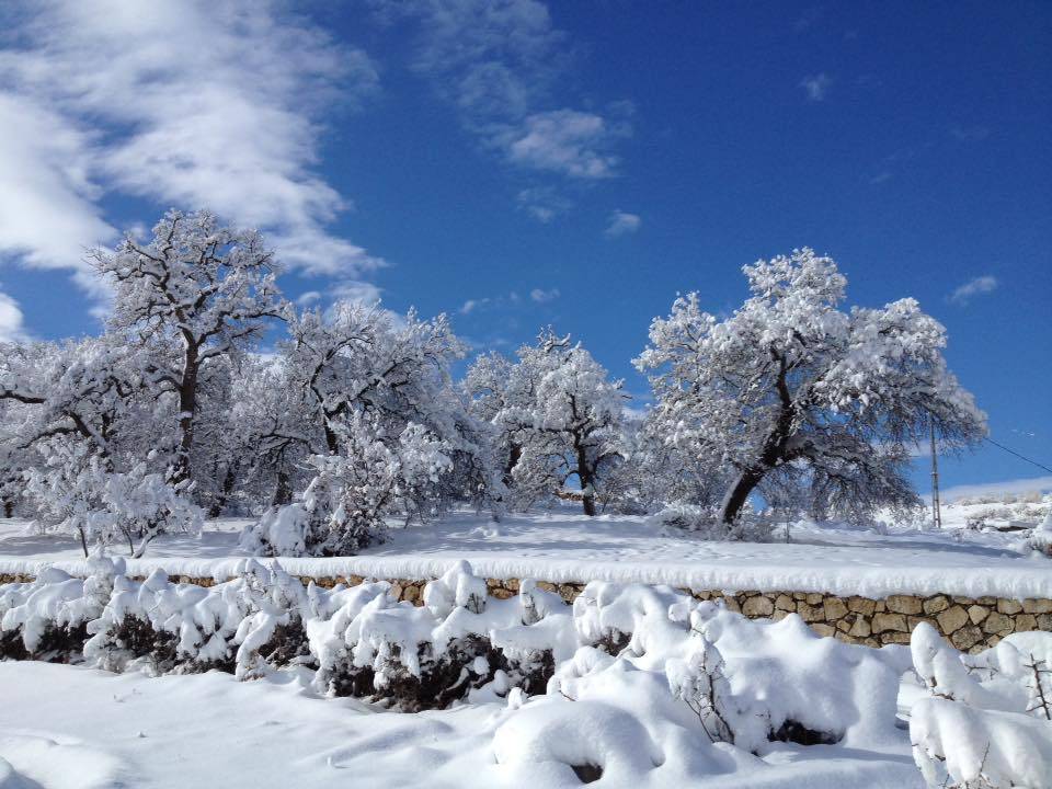 Gercüş Özler Köyü Resimleri 1