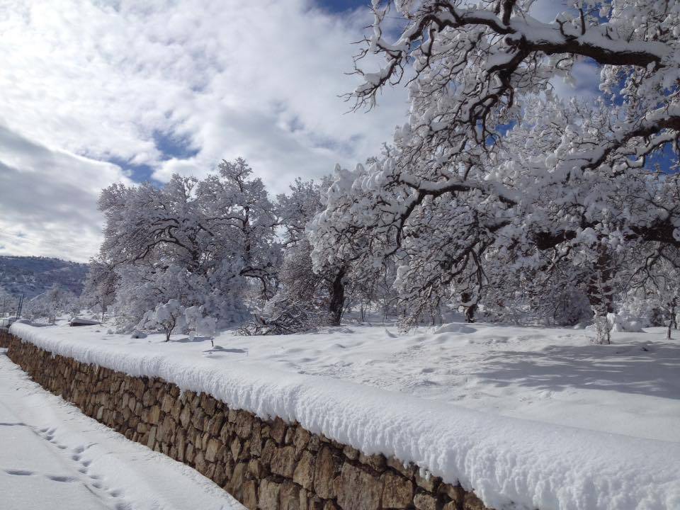 Gercüş Özler Köyü Resimleri 11
