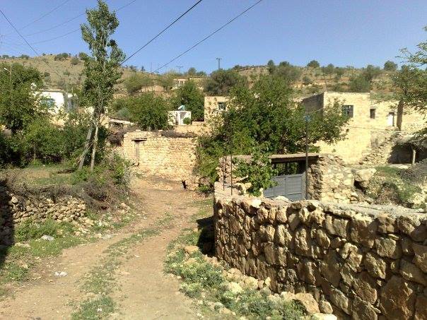 Gercüş Özler Köyü Resimleri 12