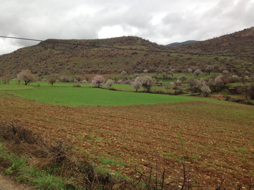 Gercüş Özler Köyü Resimleri 13