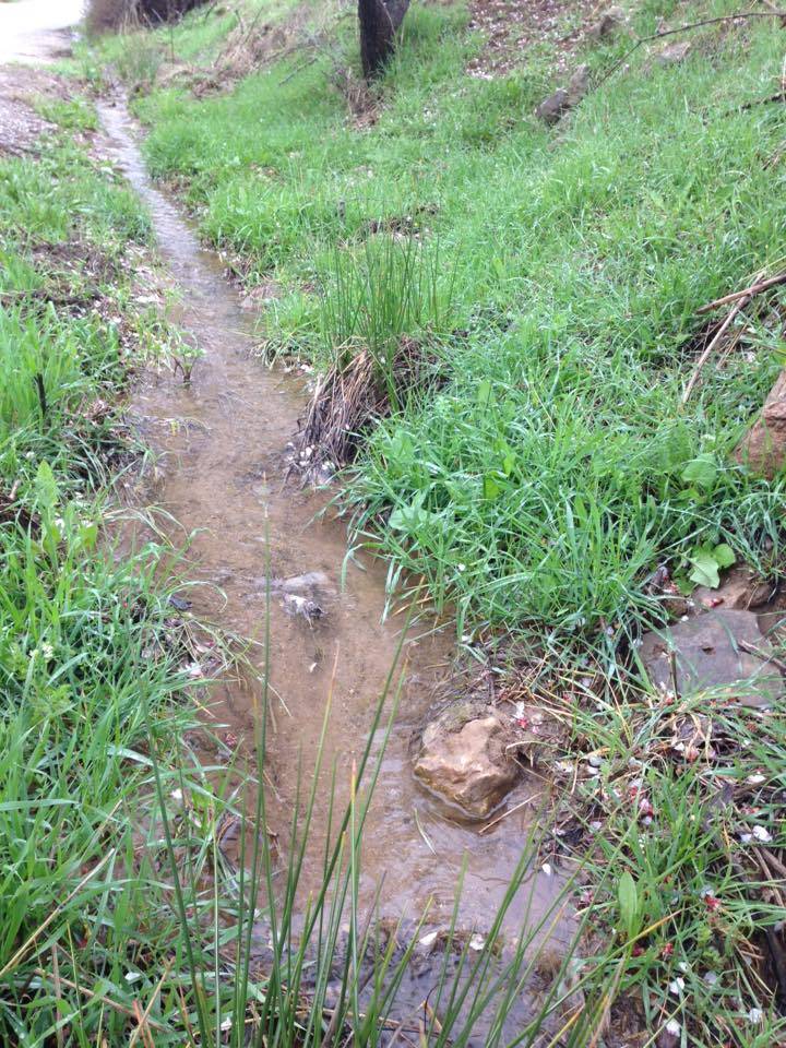 Gercüş Özler Köyü Resimleri 15