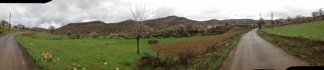 Gercüş Özler Köyü Resimleri 16