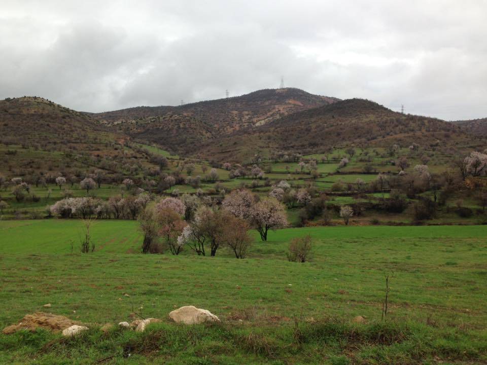 Gercüş Özler Köyü Resimleri 18