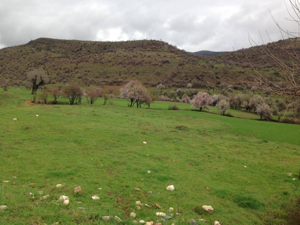 Gercüş Özler Köyü Resimleri 19