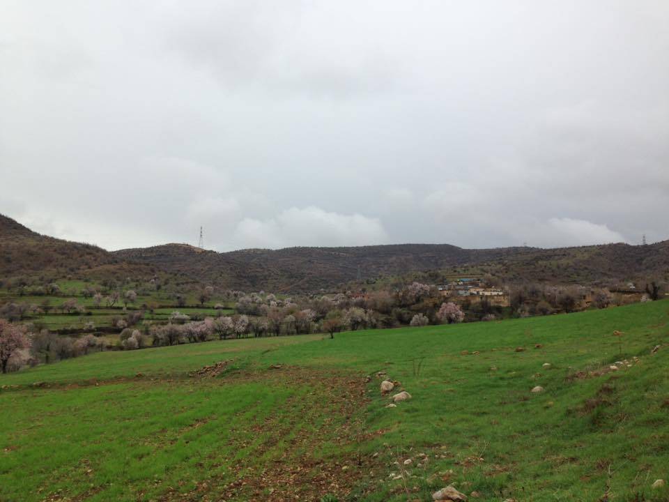 Gercüş Özler Köyü Resimleri 2