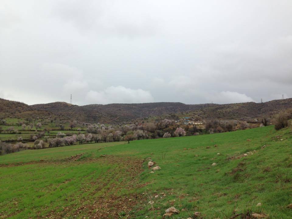 Gercüş Özler Köyü Resimleri 20