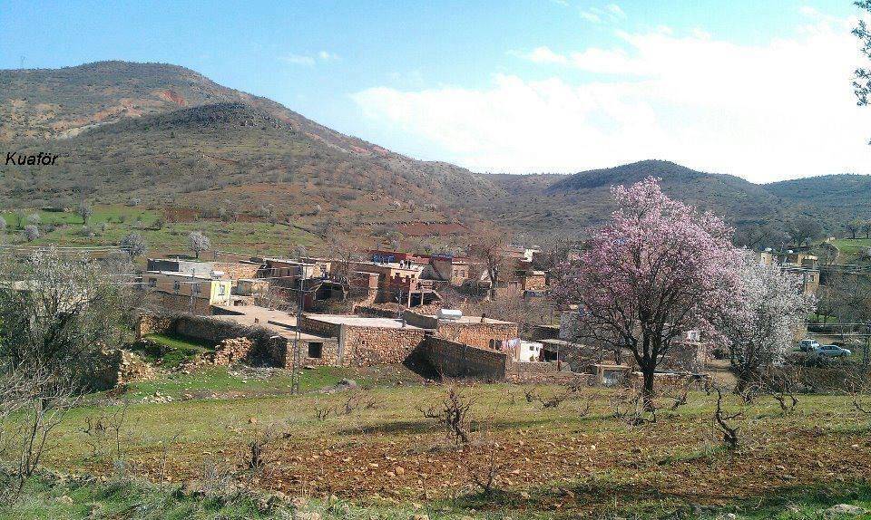 Gercüş Özler Köyü Resimleri 21