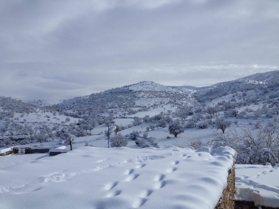 Gercüş Özler Köyü Resimleri 22