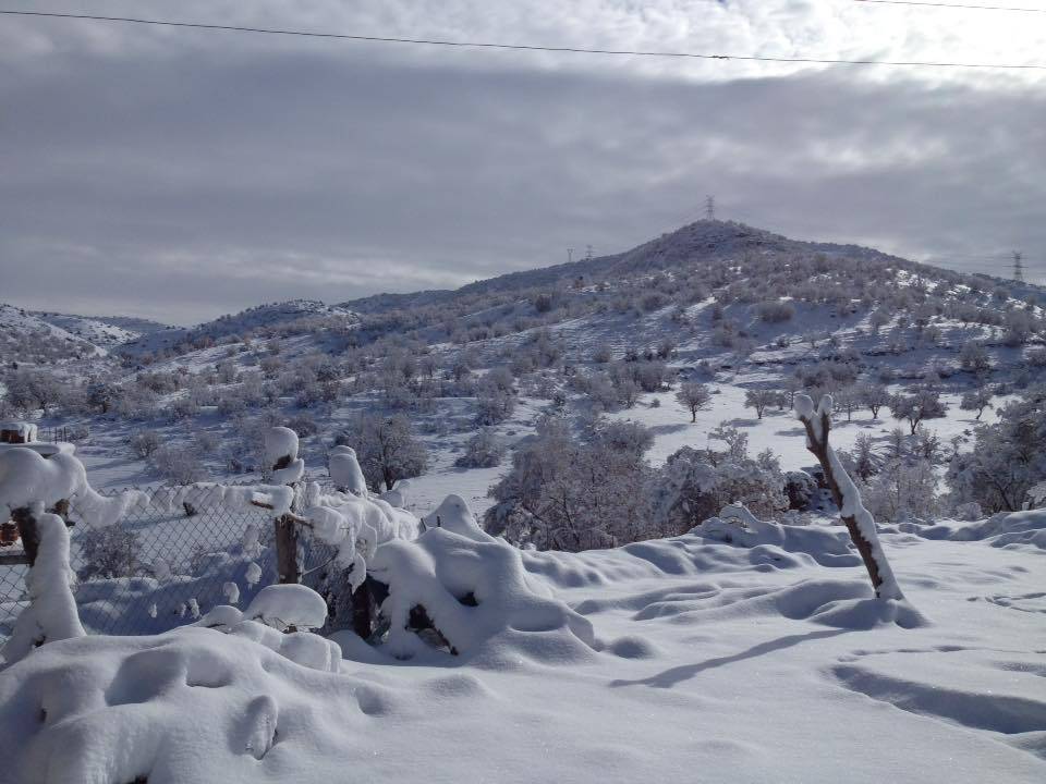 Gercüş Özler Köyü Resimleri 24
