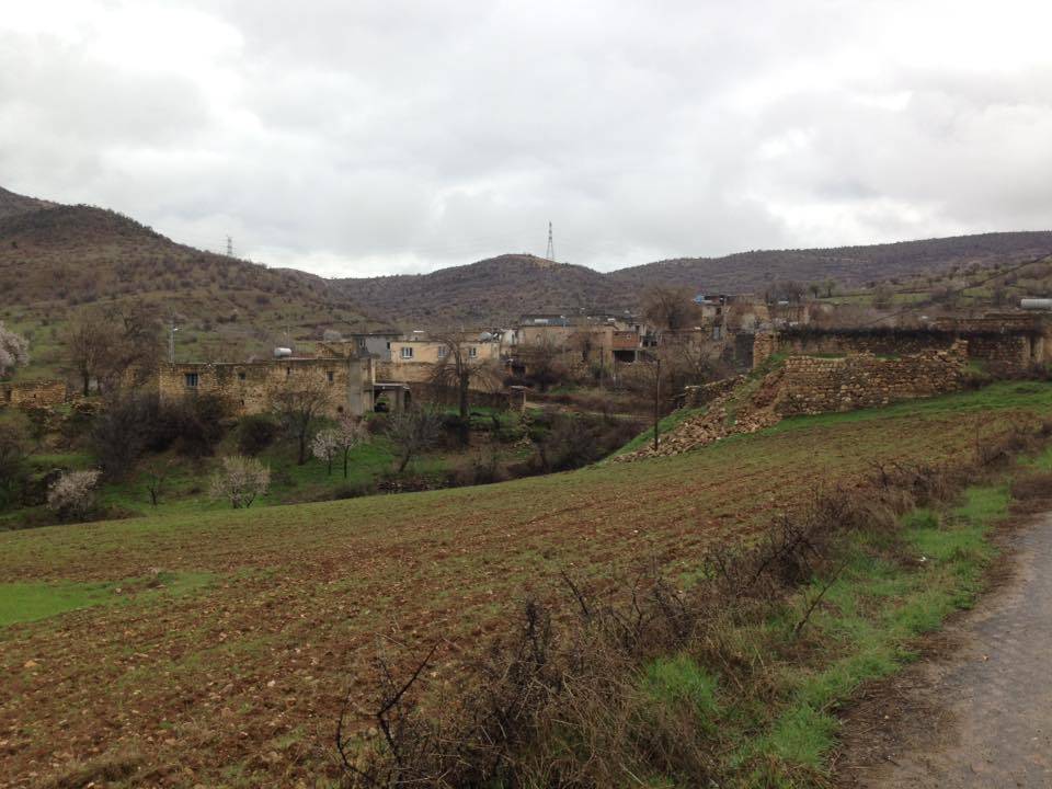 Gercüş Özler Köyü Resimleri 26