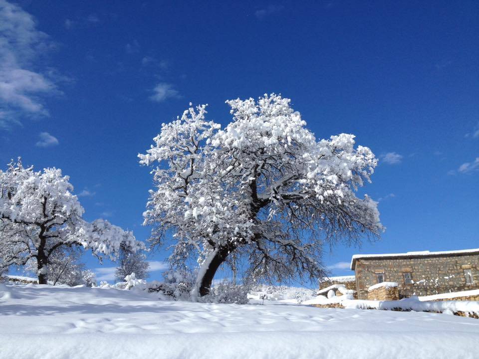 Gercüş Özler Köyü Resimleri 29