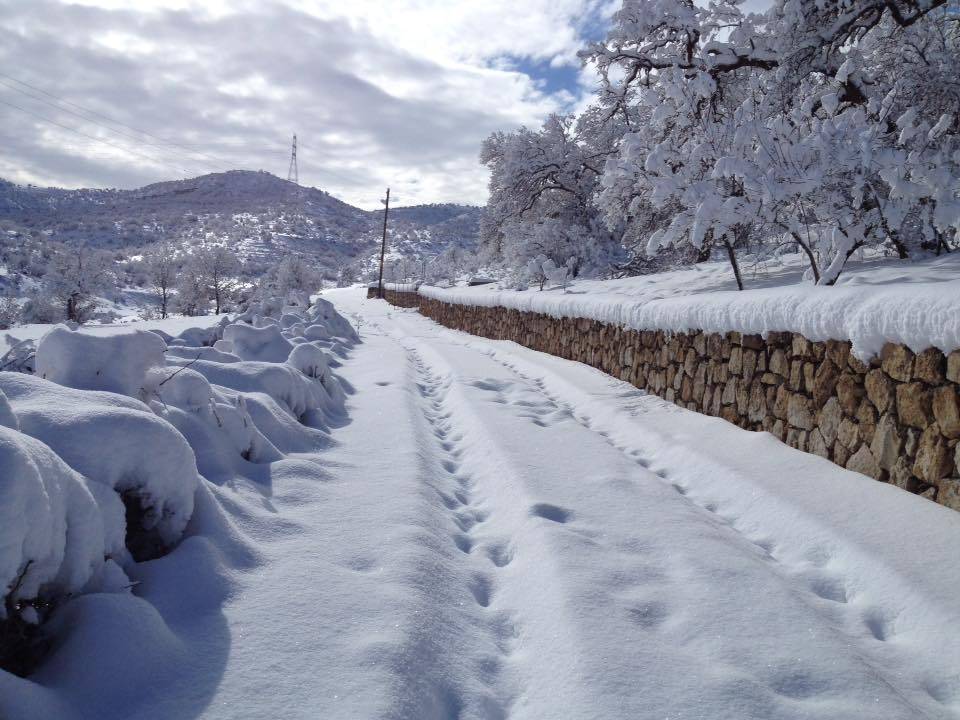 Gercüş Özler Köyü Resimleri 6