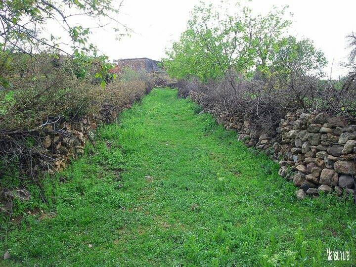 Gercüş Özler Köyü Resimleri 7