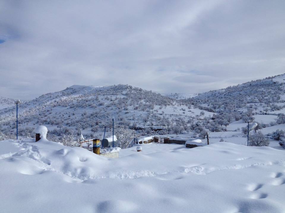 Gercüş Özler Köyü Resimleri 8