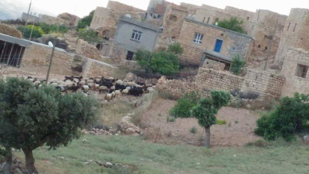 Gercüş Poyraz Köyü Resimleri 4