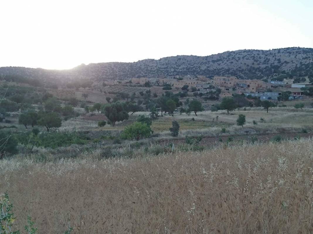 Gercüş Poyraz Köyü Resimleri 10