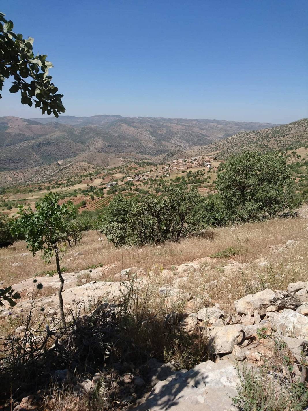 Gercüş Poyraz Köyü Resimleri 11