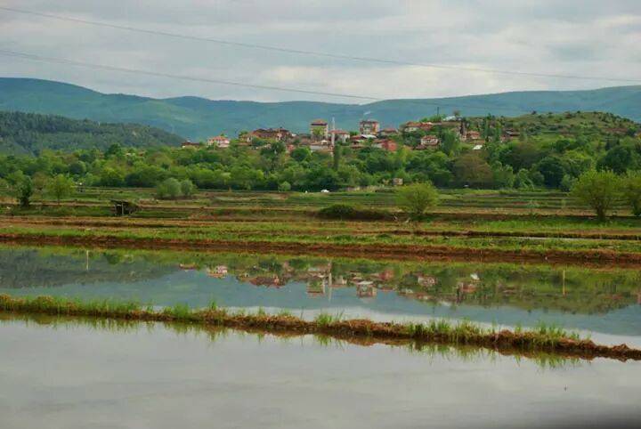 Boyabat Alibeyli Köyü Resimleri 13
