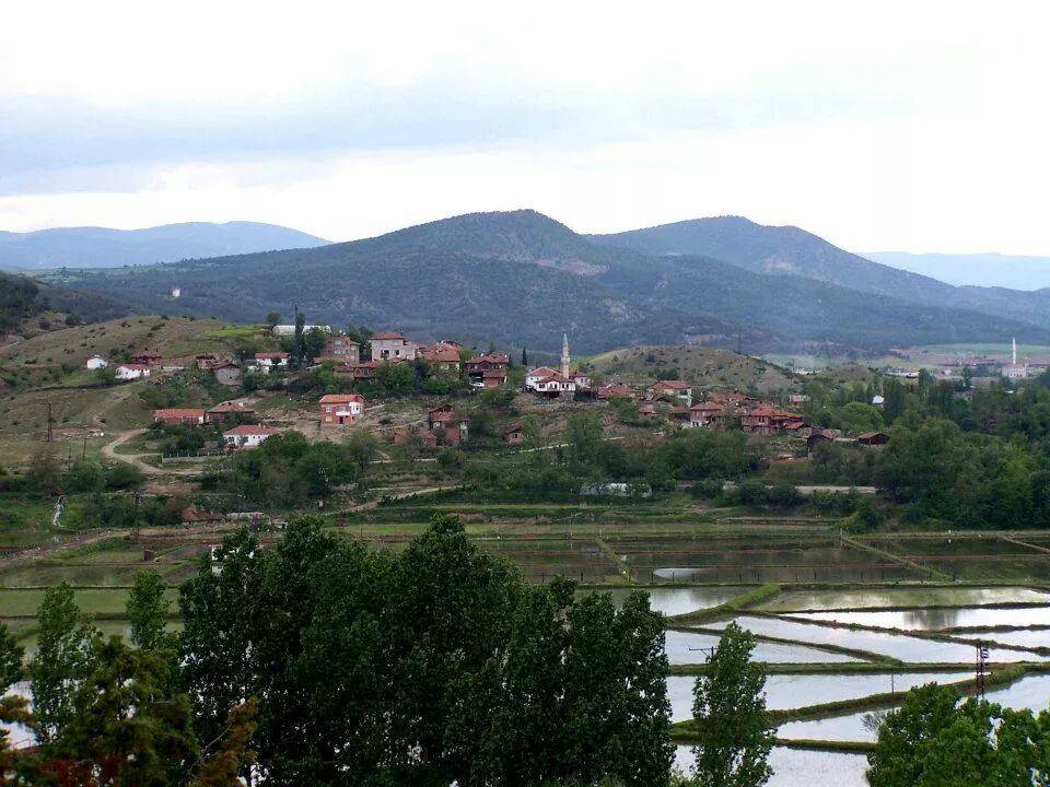 Boyabat Alibeyli Köyü Resimleri 14