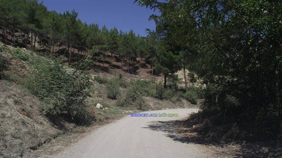 Boyabat Alibeyli Köyü Resimleri 8