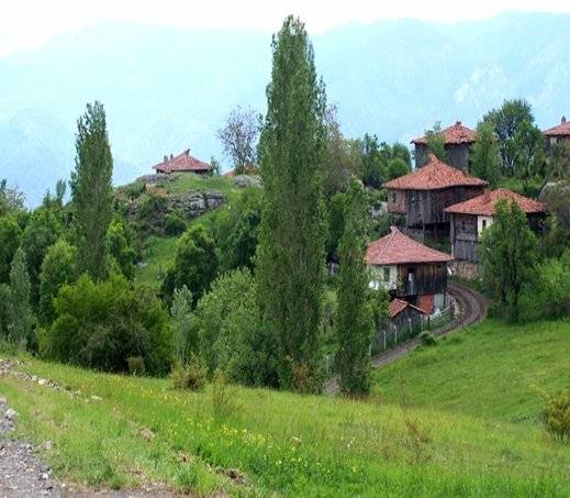 Boyabat Ardıç Köyü Resimleri 1