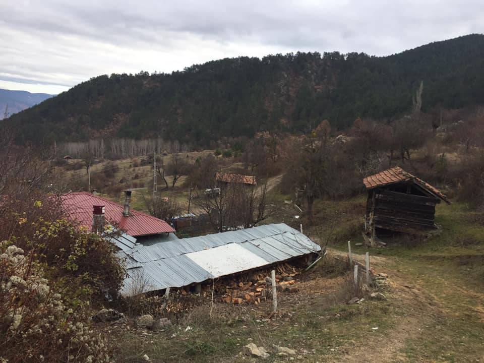 Boyabat Ardıç Köyü Resimleri 12