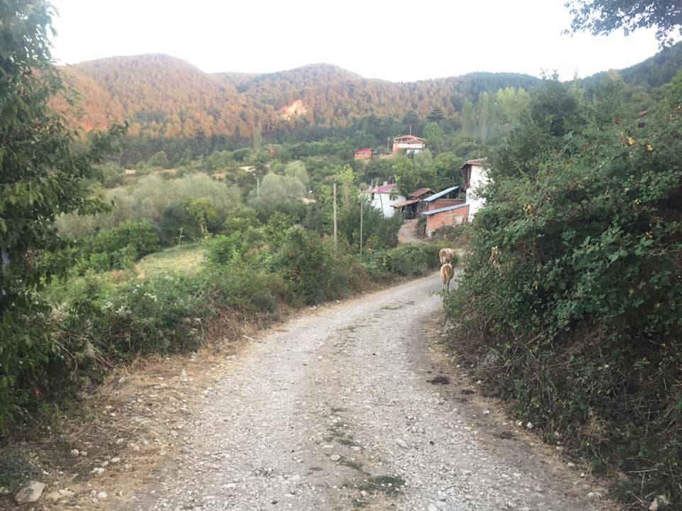 Boyabat Ardıç Köyü Resimleri 16