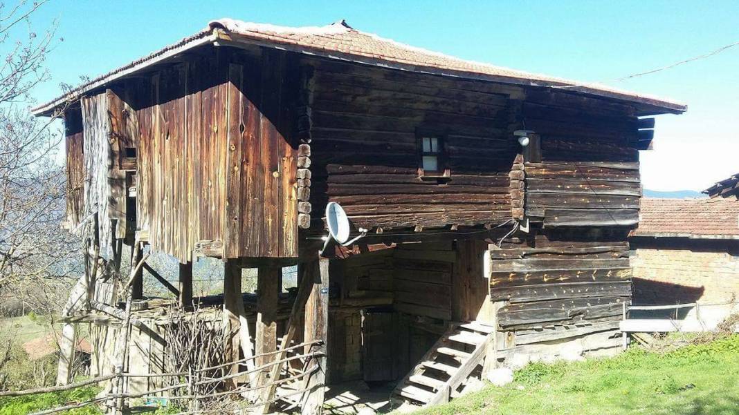 Boyabat Ardıç Köyü Resimleri 3