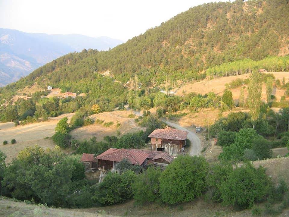 Boyabat Ardıç Köyü Resimleri 5