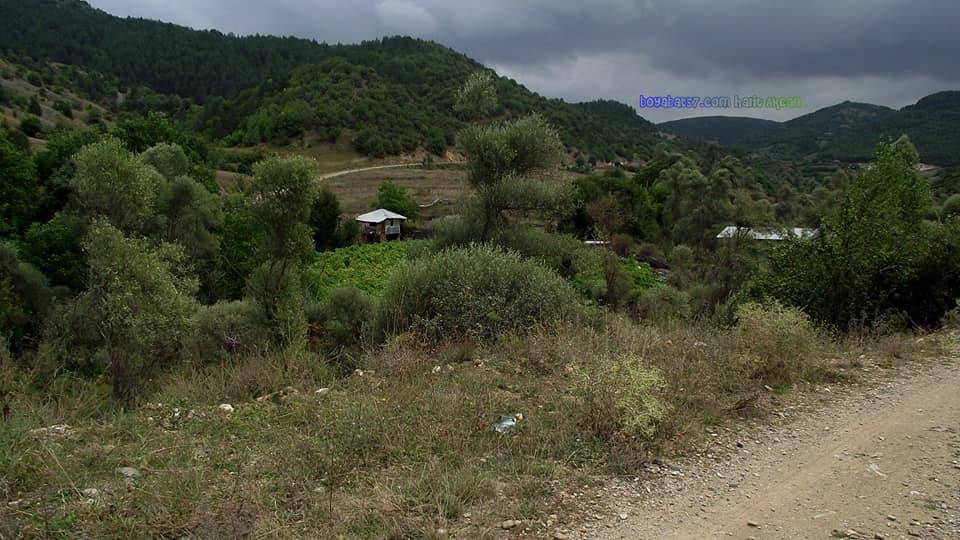 Boyabat Aşağıseyricek Köyü Resimleri 12