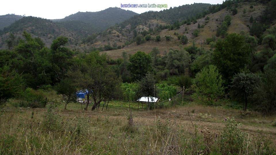 Boyabat Aşağıseyricek Köyü Resimleri 9