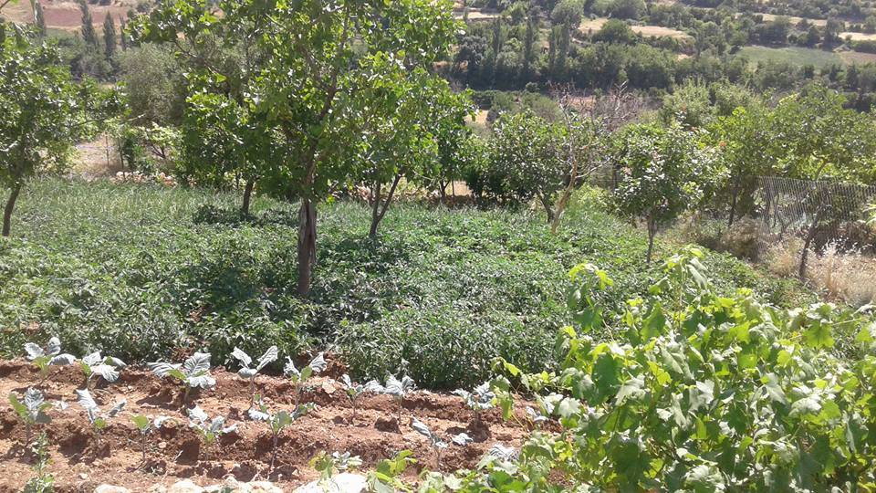 Gercüş Rüzgarlı Köyü Resimleri 1