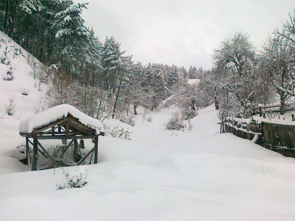 Boyabat Aşıklı Köyü Resimleri 1