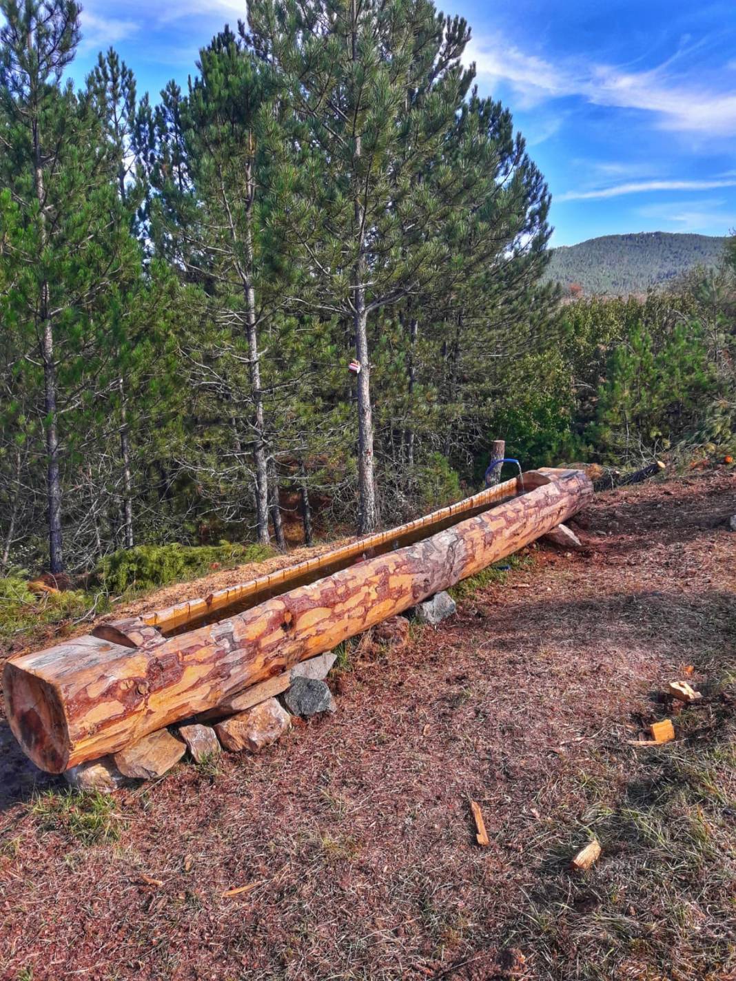 Boyabat Aşıklı Köyü Resimleri 10