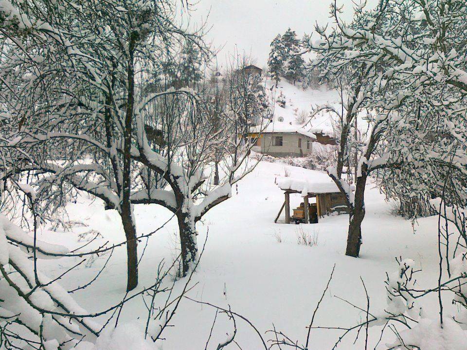 Boyabat Aşıklı Köyü Resimleri 3