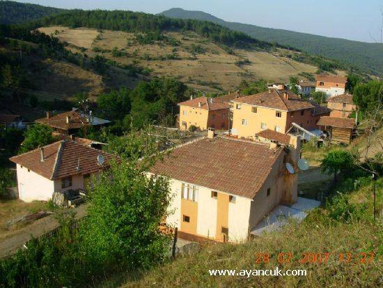 Boyabat Aşıklı Köyü Resimleri 4