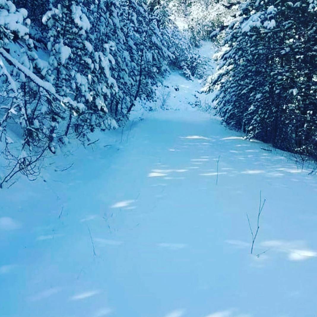 Boyabat Aşıklı Köyü Resimleri 8
