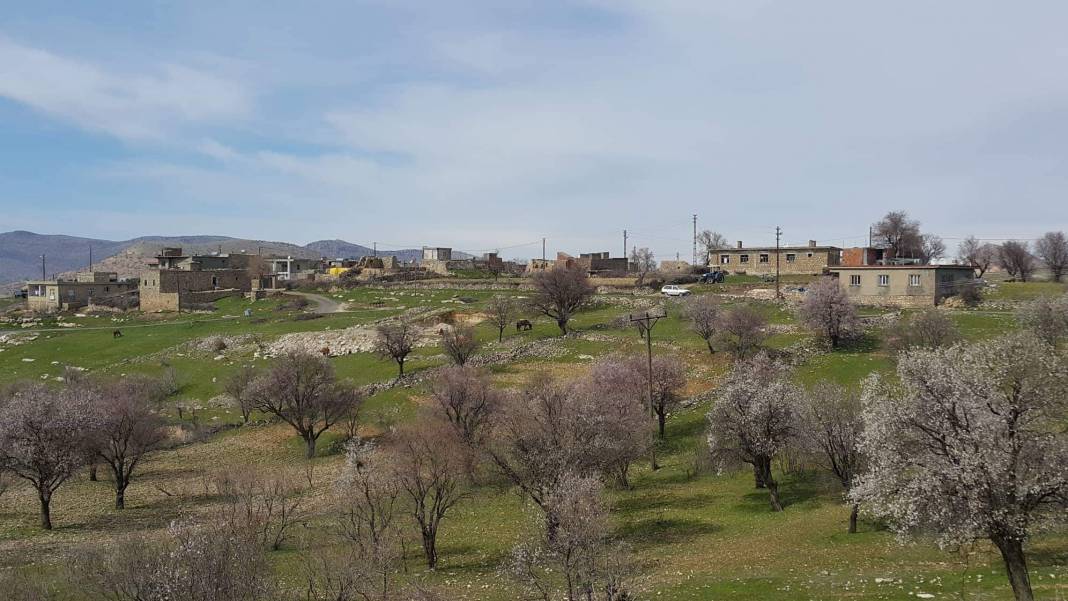 Gercüş Sargın Köyü Resimleri 3