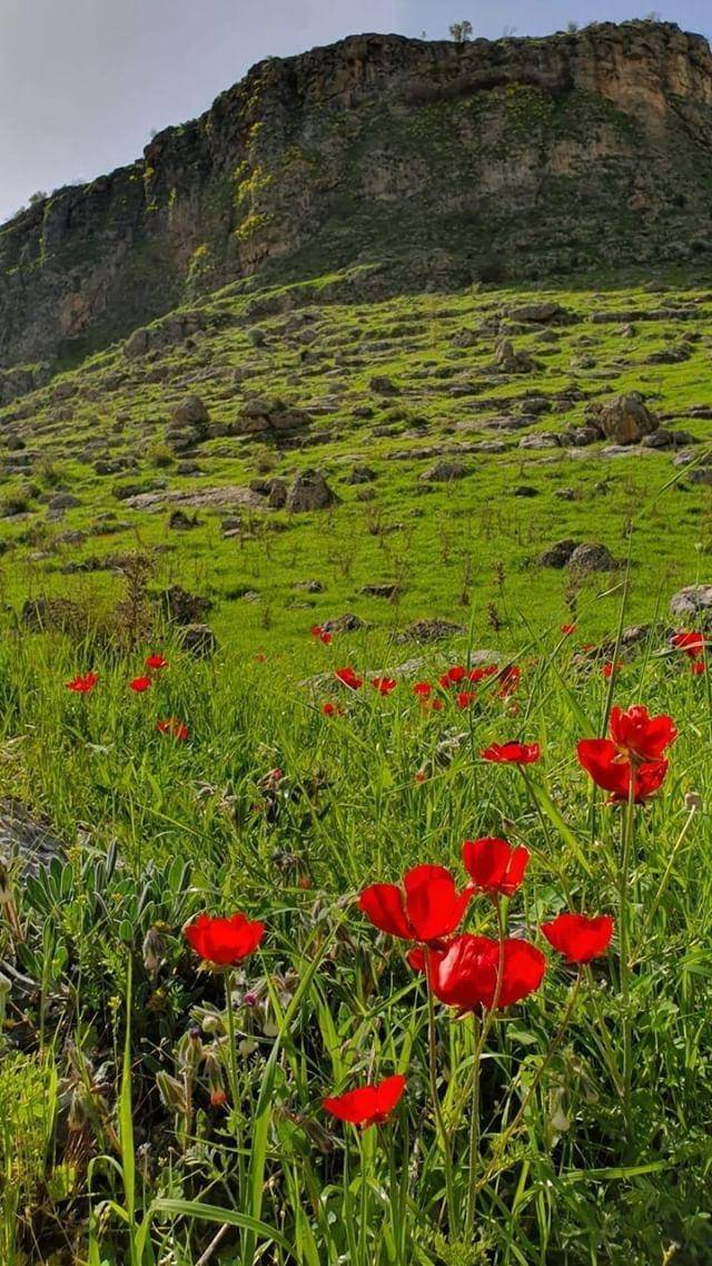Gercüş Sargın Köyü Resimleri 4